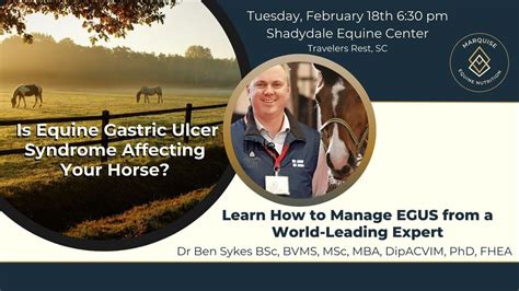 Managing Equine Gastric Ulcer Syndrome, 295 Shelton Rd, Travelers Rest ...