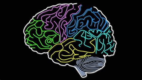 Left Right Hemisphere 的图像结果