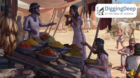 Example of Old Trade 的图像结果