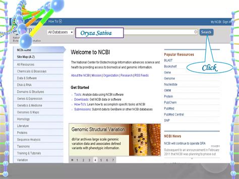 Image result for NCBI Databases