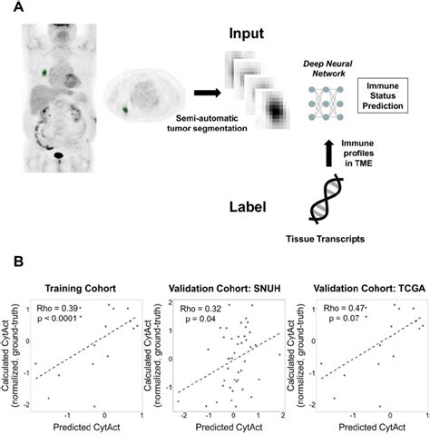 Image result for Algorithm for Deep Learning