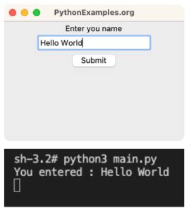 Image result for Python Tkinter Use Entry Input in Another Function