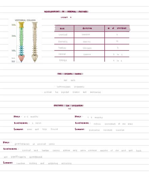 Image result for Normal Posture