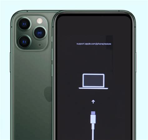 Comment Reinitialiser Un iPhone Sans Code iCloud 的图像结果