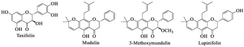 Genista tridentata L.: A Rich Source of Flavonoids with Anti ...