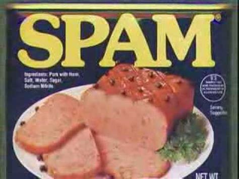 Image result for Monty Python Spam Song