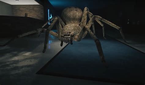 Image result for Test Sample Huntsman