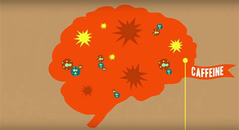 How Does Caffeine Affect Your Brain? 2 Enlightening Videos - Perfect Daily Grind