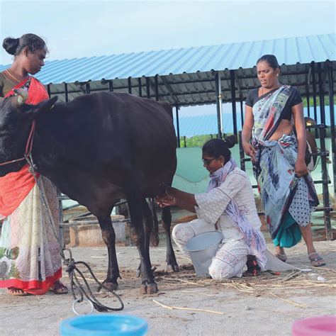 Celebrating the power of Representation