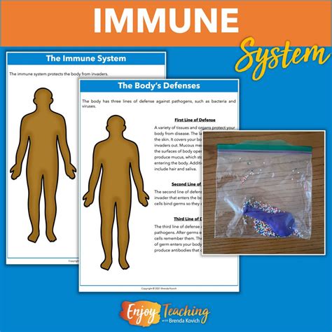 Immune System Organs for Kids Interactive Label Worksheet Maze Word ...