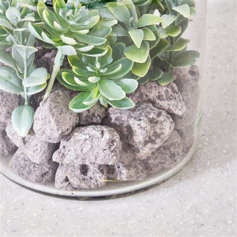 Buy Corsica Tricia Artificial Succulent in Glass Jar from Corsica by ...