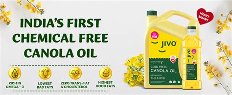 JIVO Canola Cold Pressed Edible Oil 5 Litres with 1 Litre | Premium ...