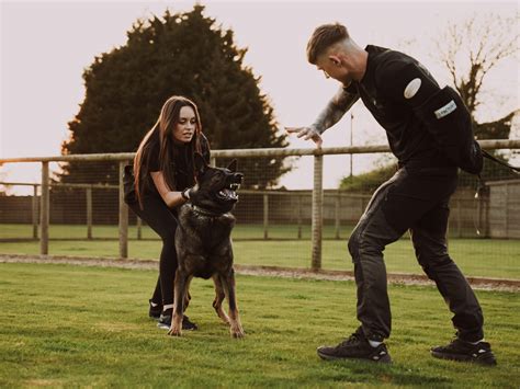 Trained Protection Dogs 的图像结果