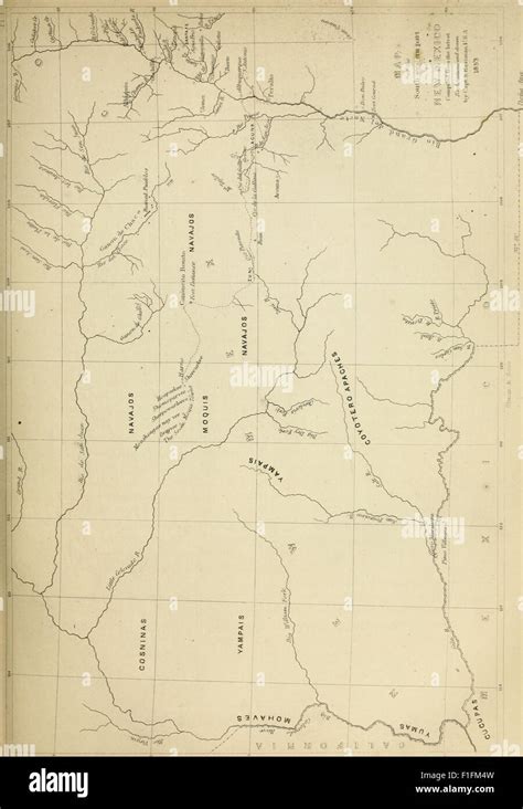 NT Language Map 的图像结果