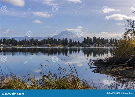 Landscapes of Lake Tapps Park in Spring Stock Image - Image of auburn ...