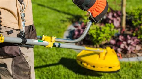 Image result for Cheap String Trimmers