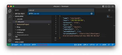 Image result for vs Code SFTP Build