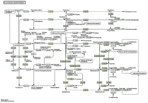 The de novo genome assembly of lemon grass to identify the genes in ...