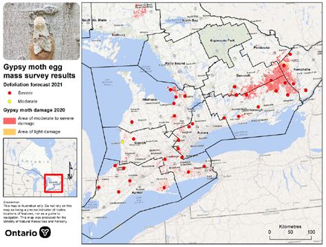 Gypsy Moth Infestation Map? : r/ontario