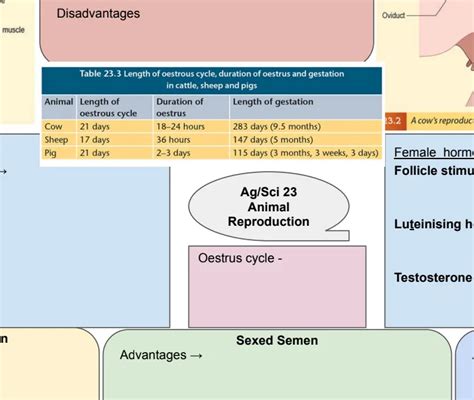 Image result for Reproduction Class 8 Mind Map