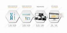 illumina ngs sequencing ngs workflow ngs for hla genotyping ion torrent omixon illumina ngs sequencing ngs workflow ngs for hla genotyping ion torrent omixon