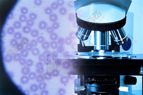 Image result for Microscope Reviews