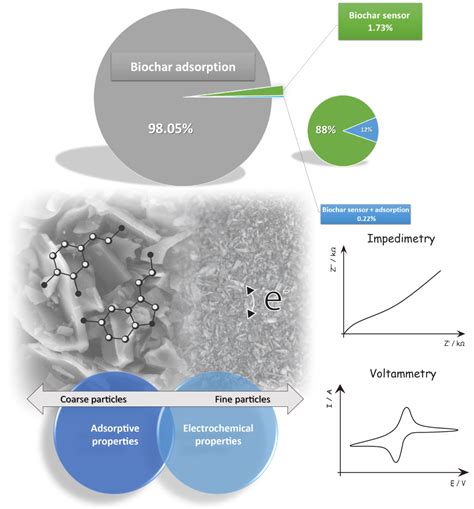 Biochar for Water Pollution Control: From Sensing to Decontamination