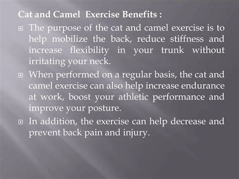 Cat and camel exercises | PPT