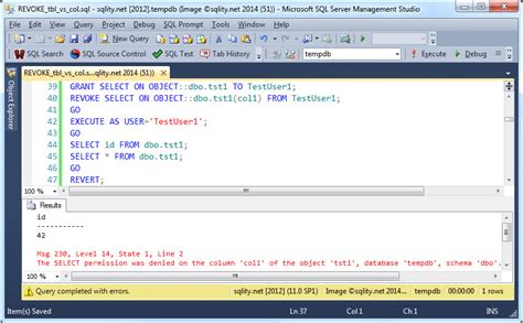Access Denied Error After Revoking Previlege in SQL 的图像结果