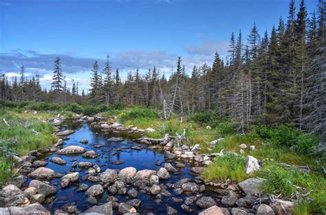 Best Hiking Trails in Gaspésie National Park
