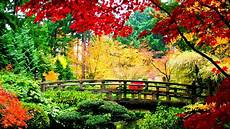 Fall Japan Iphone Wallpaper by Japan Scenery Wallpaper 45 Images Fall Japan Iphone Wallpaper