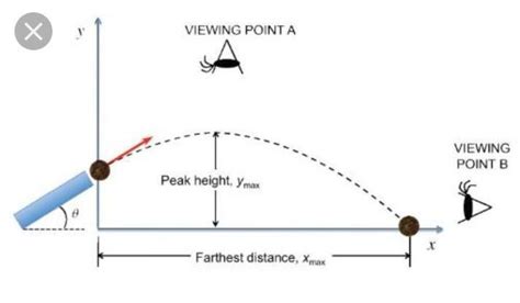 Experiment on projectile motion - Brainly.in