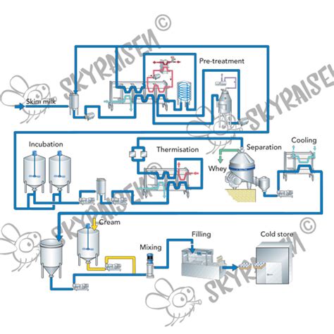 Image result for How Is Milk Processed Step by Step