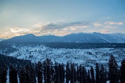 Doodhpathri in Kashmir: The Serene Meadows of Milk