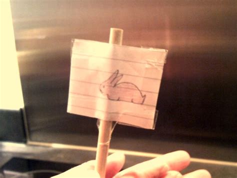 Image result for Vision Experiment