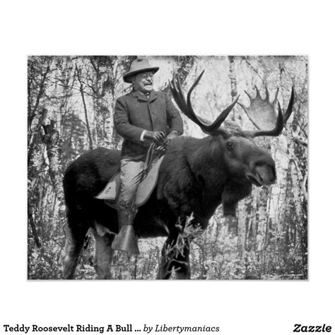 Teddy Roosevelt Riding A Bull Moose Poster | Zazzle | Bull moose, Teddy ...