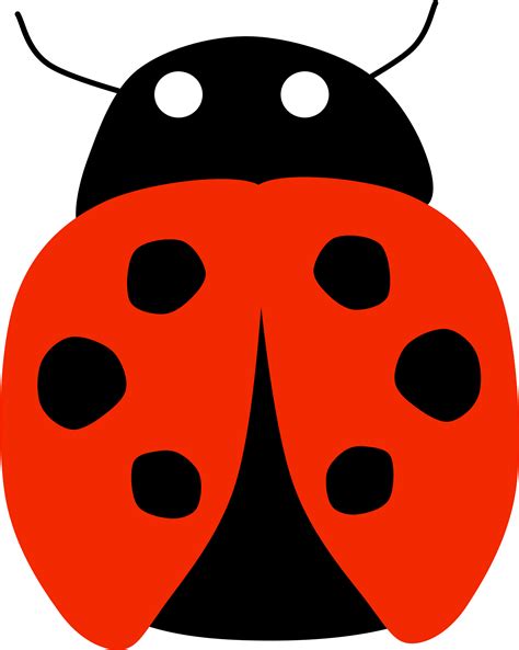 Image result for Ladybug No Background