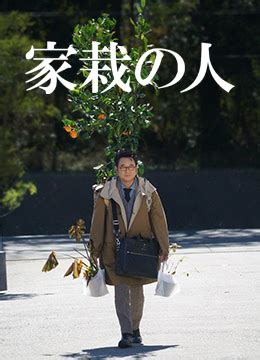 《家裁之人》2020年日本电影在线观看_蛋蛋赞影院