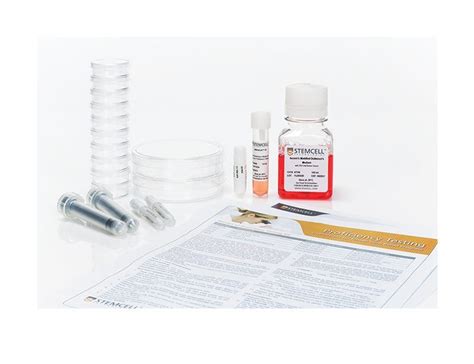 Bone Marrow Testing 的图像结果