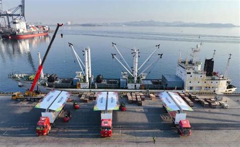 进口量同比增长150% 大连港集装箱冷链业务“热起来”-国际在线
