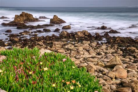 Spanish Bay- 17 Mile Drive Tour | GuideAlong