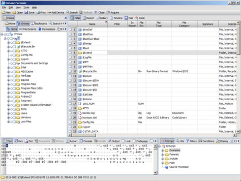 Encase Tutorial 的图像结果