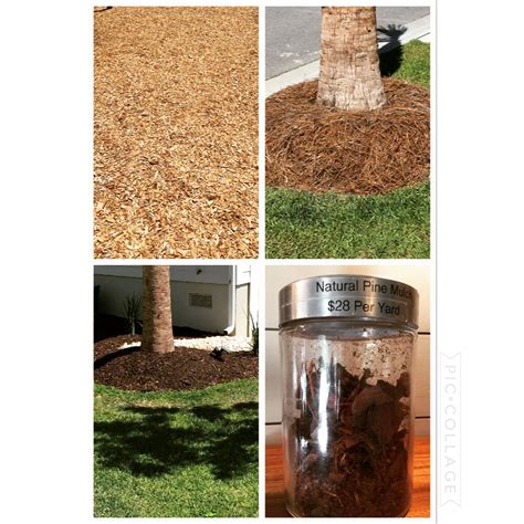Lowcountry Landscape: Mulch or Pine Straw?