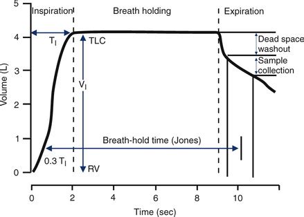 Image result for Single Breath Diffusing Capacity