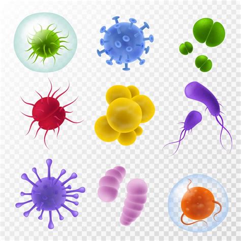 Bacteria Vectors - Download Free High-Quality Vectors from Freepik ...