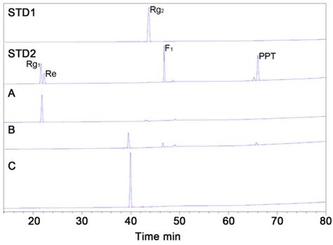 Characterization of a Novel Ginsenoside MT1 Produced by an Enzymatic ...