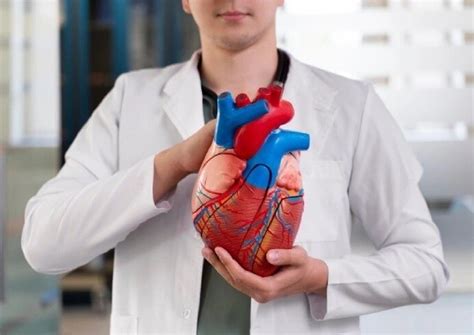 Coronary Bypass Surgery In Delhi NCR - Listings | OrOAds | Delhi,...