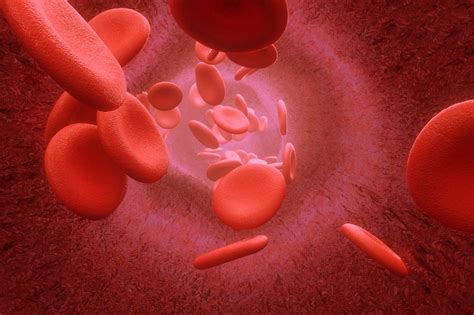 Everything you need to know about platelets count!