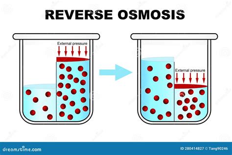 Pressure Water Molecules Seep Through The Semi-permeable Membrane ...