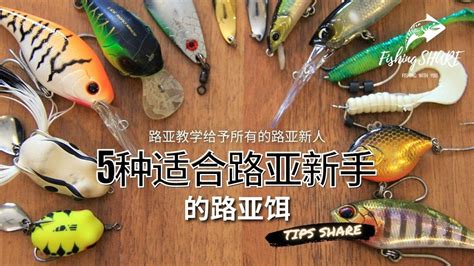 【FishingShare】5种适合路亚新手的路亚饵（路亚教学给予所有的路亚新人）| 5 LURES FOR BEGINNERS (HOW TO USE LURES FOR BEGINNERS)